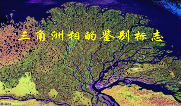 三角洲行动科技网的网址（三角洲行动科技网哪个网址最好用？）
