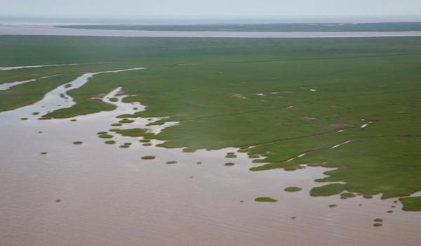 现在三角洲都用什么科技软件（现在三角洲最流行的科技软件是什么？）