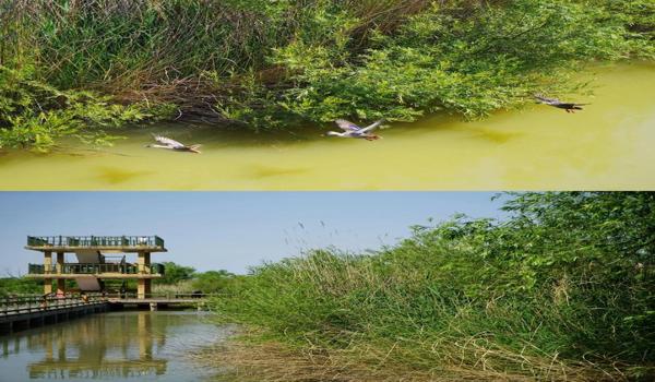 三角洲行动瞄准科技开还是关（三角洲行动瞄准科技开还是关好？）